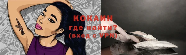 бошки Абаза