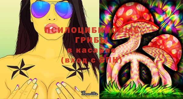 бошки Абаза
